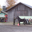 100_3873.JPG
