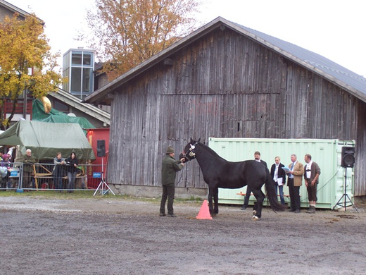 100_3873.JPG