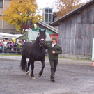 100_3874.JPG