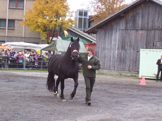 100_3874.JPG