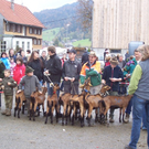 100_3876.JPG