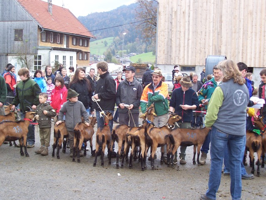 100_3876.JPG