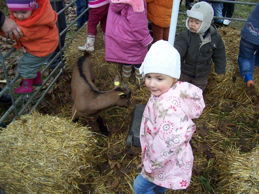 100_3880.JPG