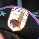 1886430.jpg