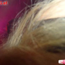 1901384.jpg