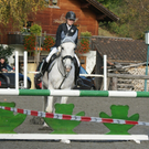 Vereinsmeisterschaft Springreiten Klaus