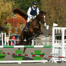 Pferd und Reiter sind Eins.JPG