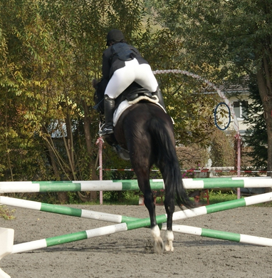 Vollendete Harmonie.JPG