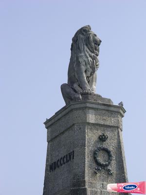 1975130.jpg