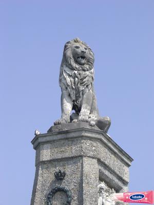 1975134.jpg