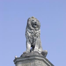 1975134.jpg