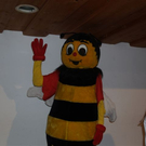 PA233503.JPG