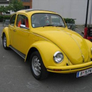 1981052.jpg