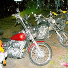 1986636.jpg