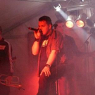 2003447.jpg