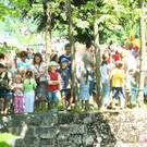 2005768.jpg