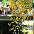 2005803.jpg