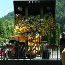 2005810.jpg