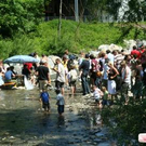 2005878.jpg