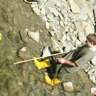 2005880.jpg