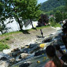 2005884.jpg