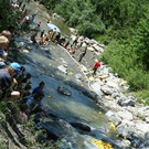 2005886.jpg