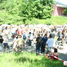 2005887.jpg