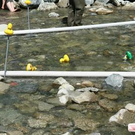 2005888.jpg