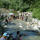 2005889.jpg