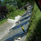 2005890.jpg