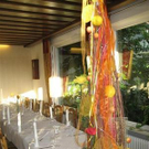 2005531.jpg