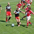 2005634.jpg