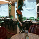2007775.jpg