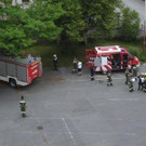 2010058.jpg