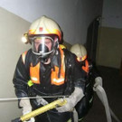 2010067.jpg