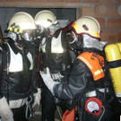 2010069.jpg