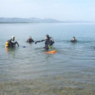 2012599.jpg