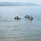 2012600.jpg