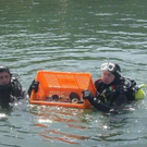 2012603.jpg