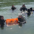 2012606.jpg