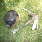 2012613.jpg