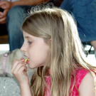 2013166.jpg