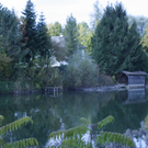 _MG_4006.JPG