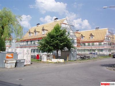 2048540.jpg