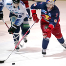 Bilder zum Spiel