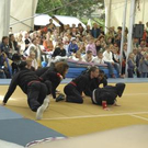 2090533.jpg