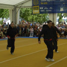 2090534.jpg