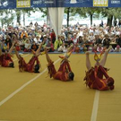 2090545.jpg