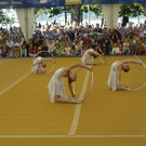2093397.jpg