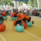 2093426.jpg